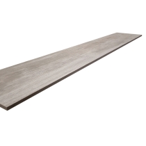 RADIANT - 8X47 PLAIN, MOON, INDOOR R11